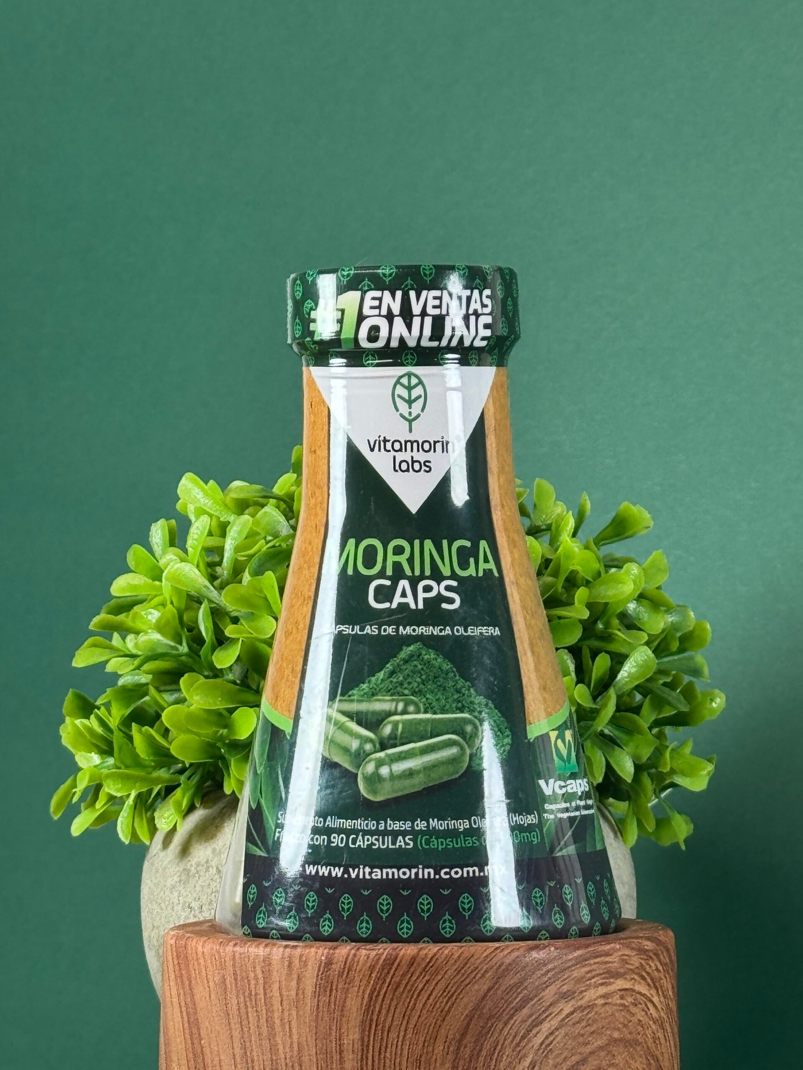 Moringa cápsulas